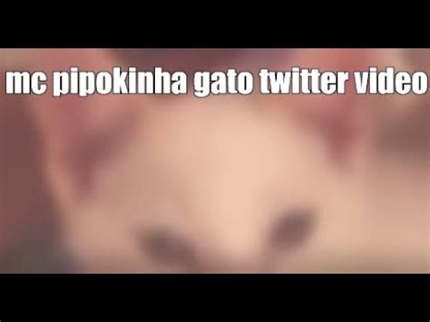 pipokinha com gato|VÍDEO – MC Pipokinha aparece “amamentando” gato e pode ser。